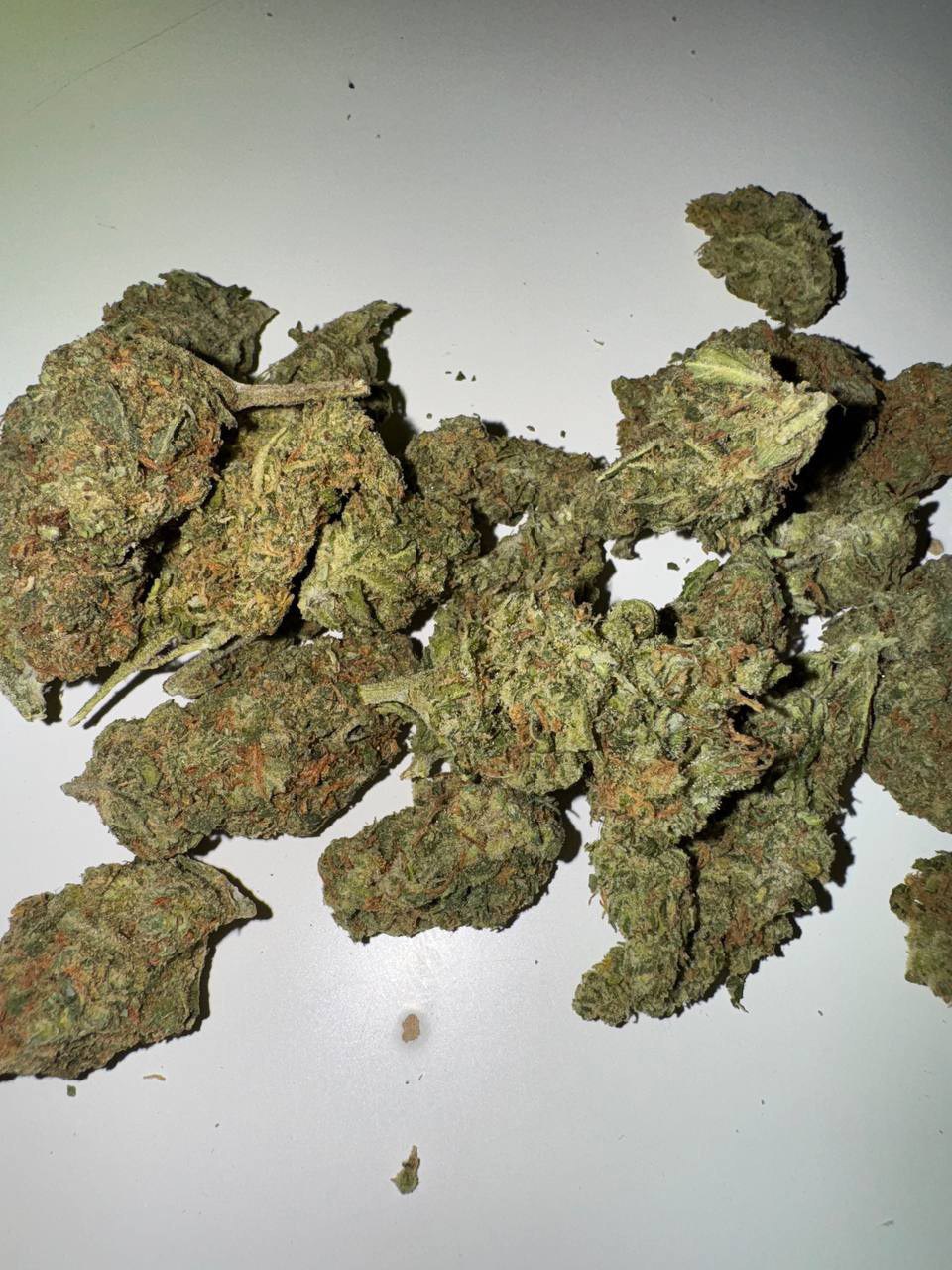 Weed